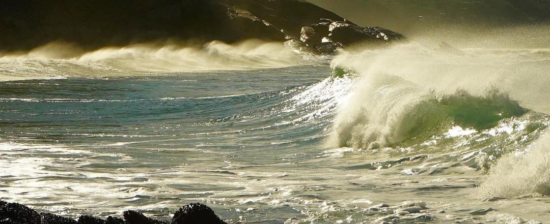 Photo of Others in Wilderness Beach