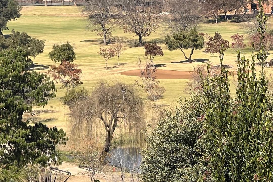 Photo of Others in Glenvista