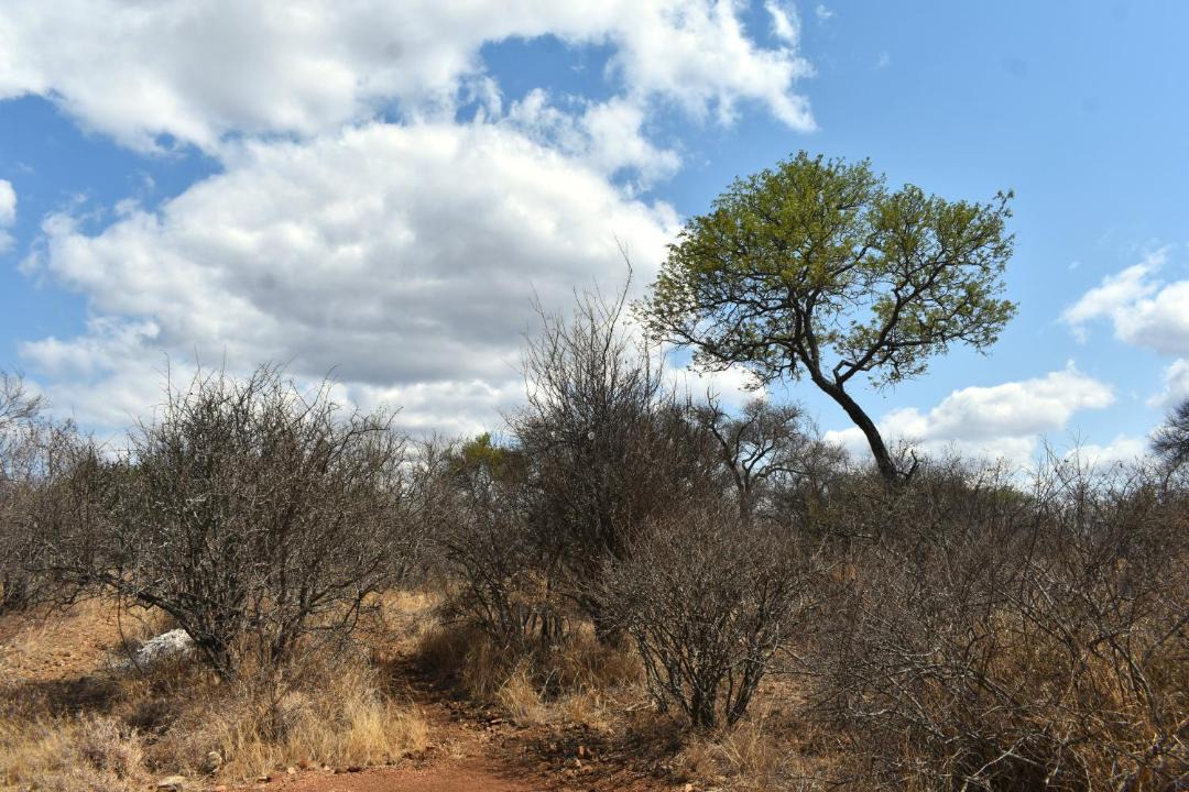 Photo of Others in Maruleng
