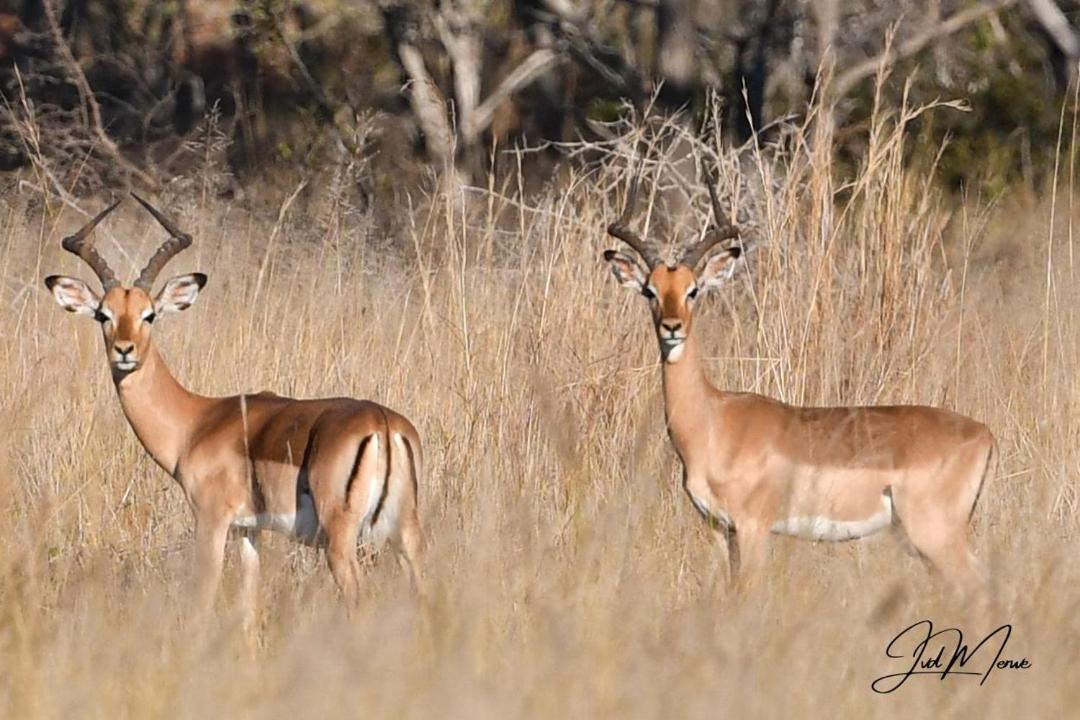 Photo of Others in Waterberg