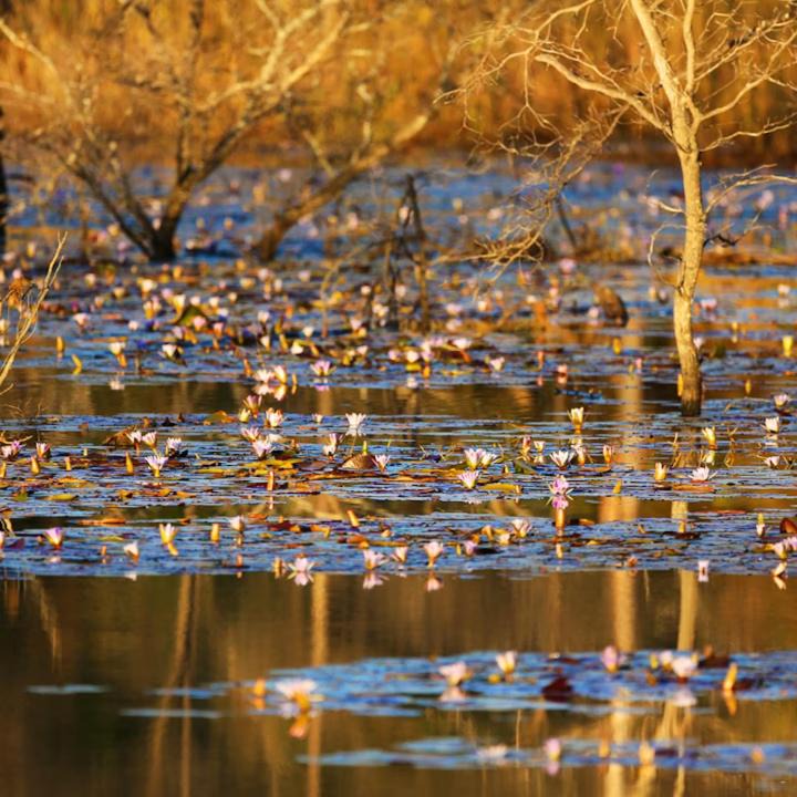Photo of Others in Waterberg
