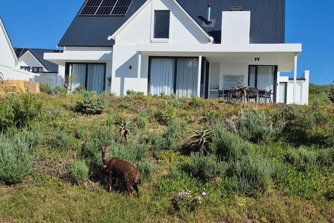 Photo of Others in Saint Francis Bay