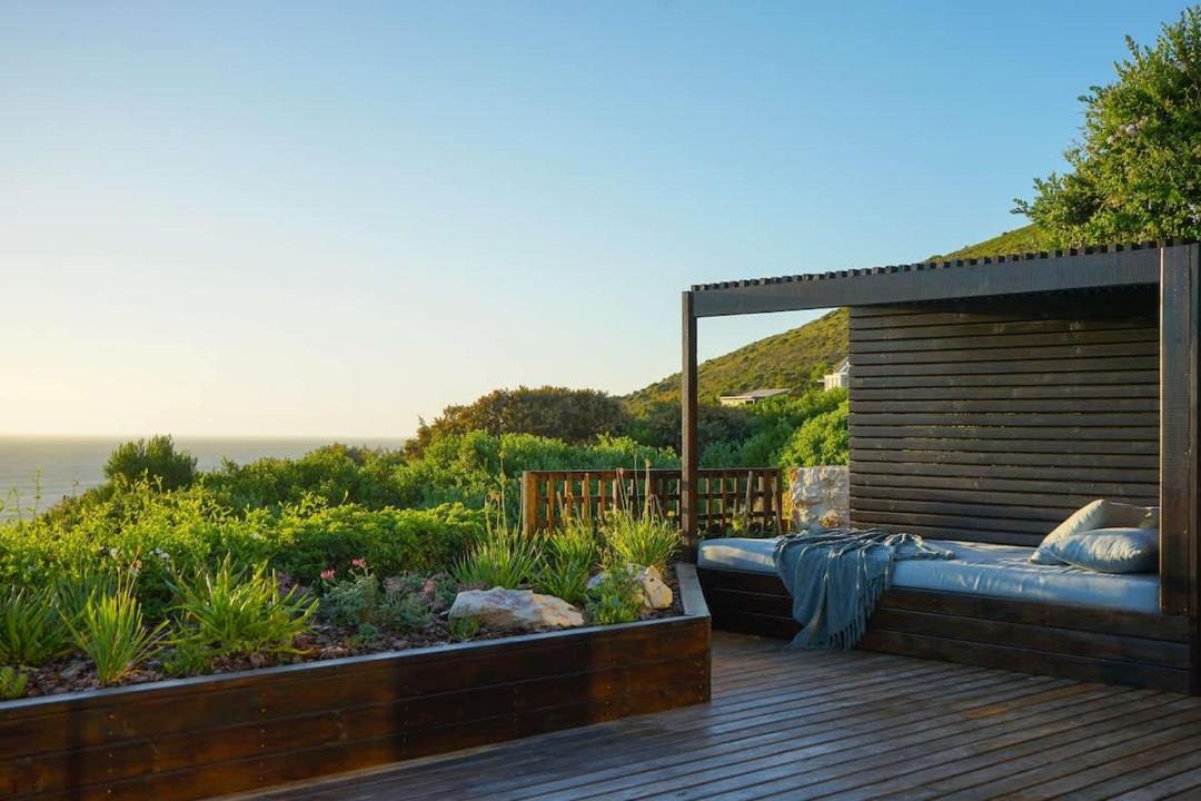 Photo of Others in Cape Peninsula