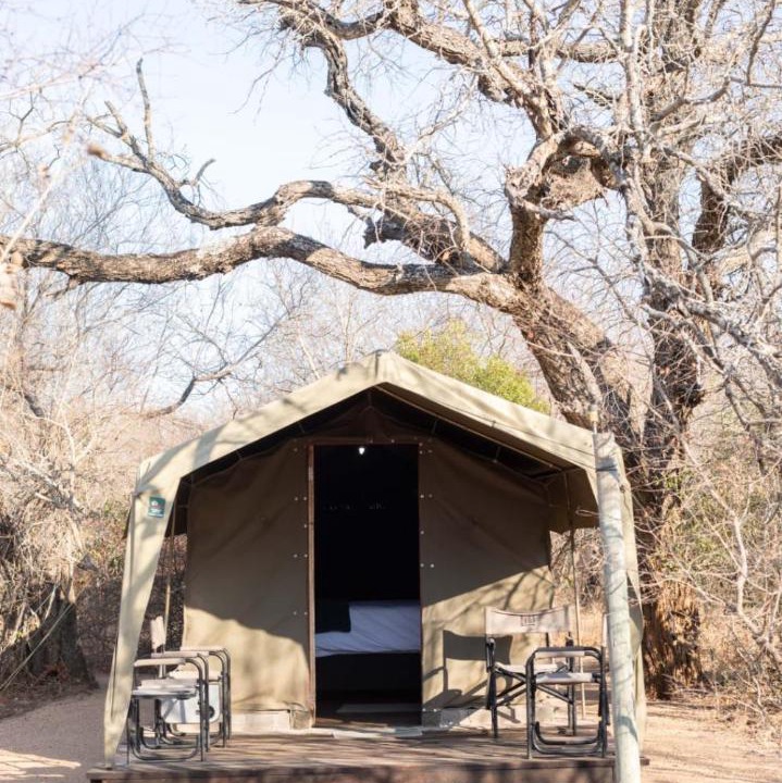 Photo of Others in Thorny Bush Game Reserve