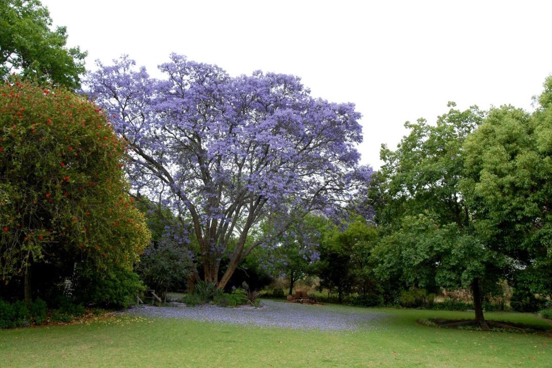 Photo of Others in Lydenburg