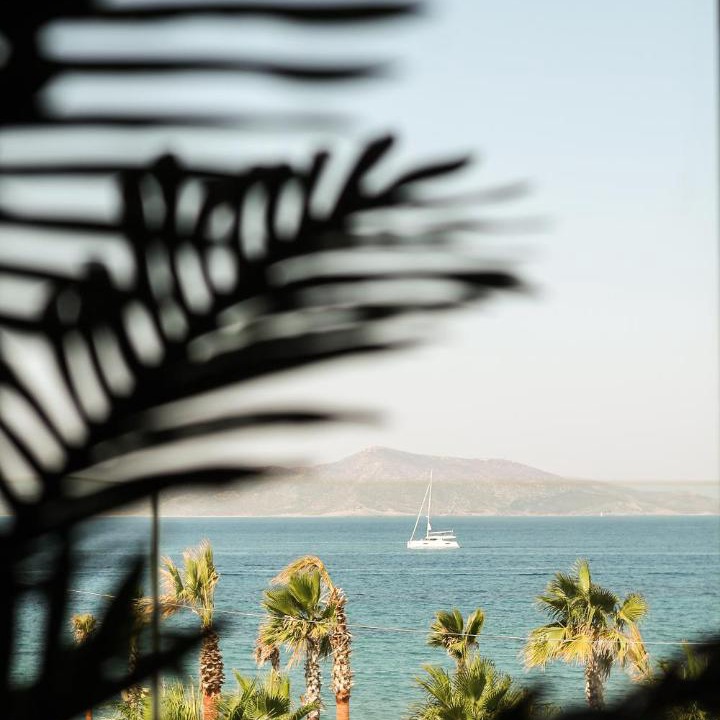 Photo of Others in Turgutreis