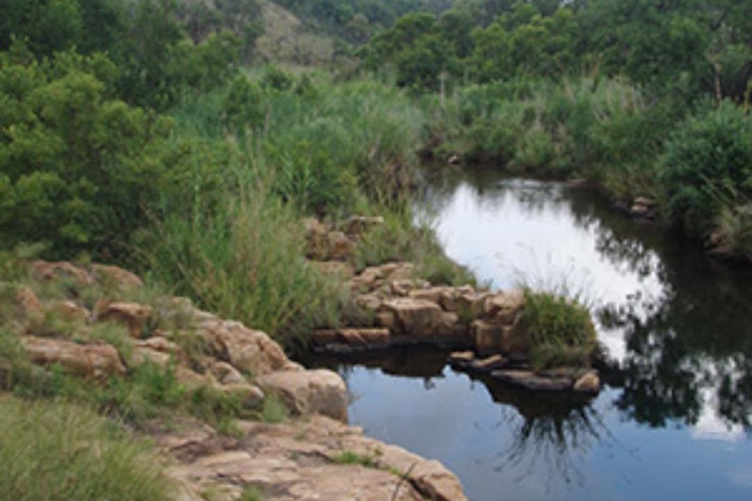 Photo of Others in Buffelspoort