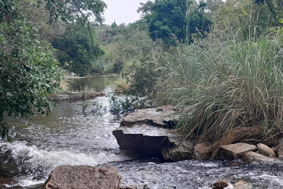 Photo of Others in Buffelspoort