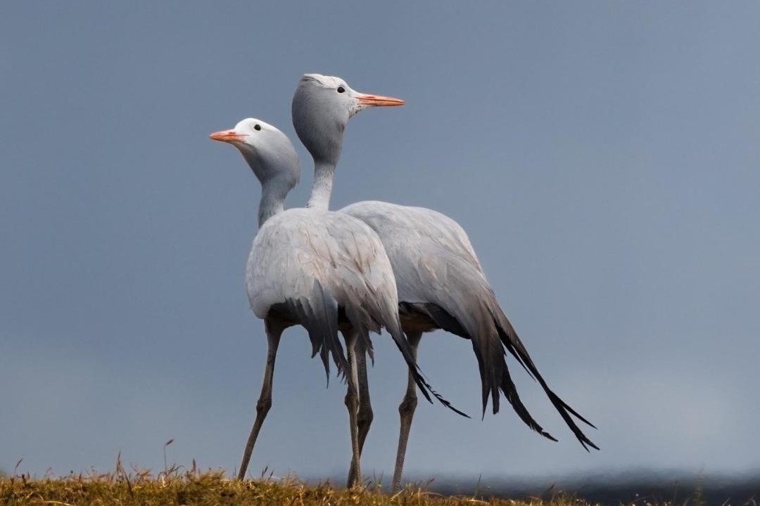 Photo of Others in Overberg