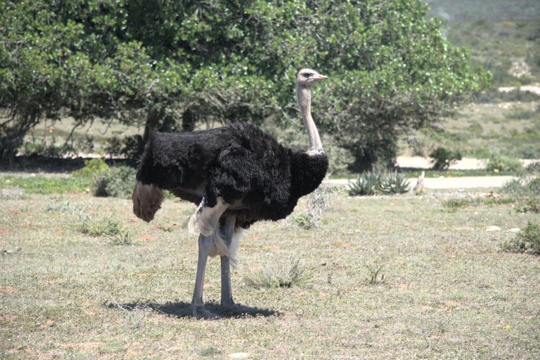 Photo of Others in Overberg