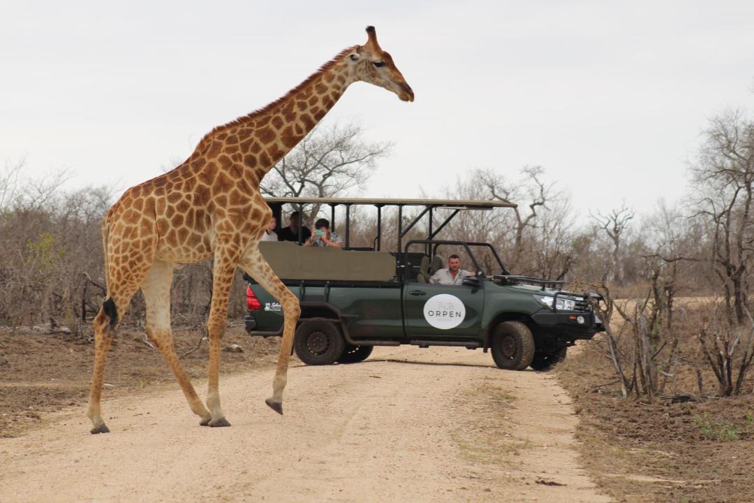 Photo of Others in Thorny Bush Game Reserve
