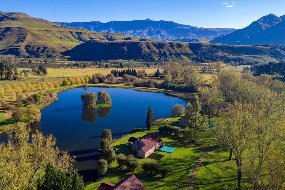 Photo of Others in Drakensberg Gardens