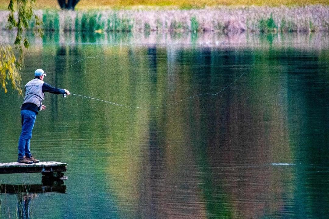 Photo of Others in Drakensberg Gardens