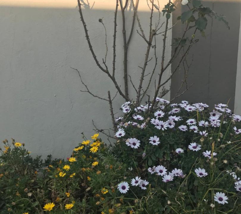 Photo of Outdoor in Kareeberg
