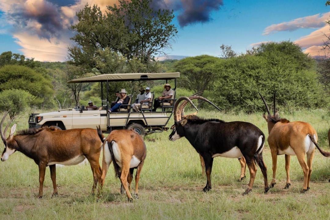 Photo of Others in Madibeng