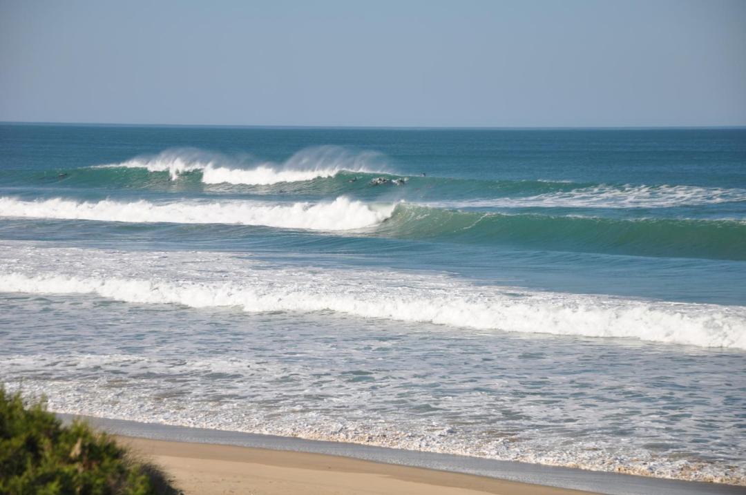 Photo of Others in Boggoms Bay