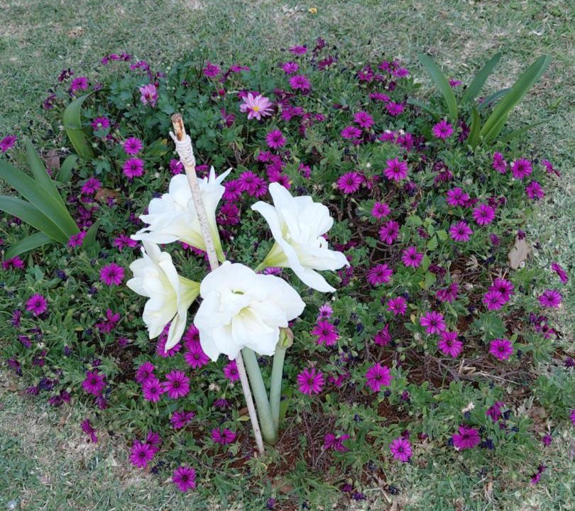 Photo of Outdoor in Makhado