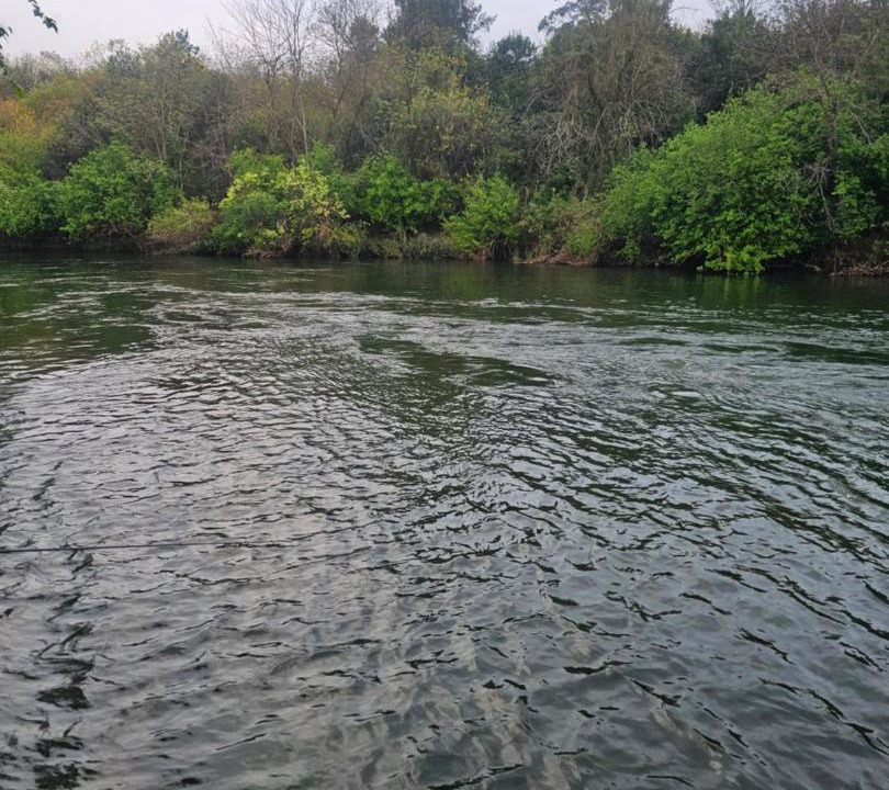 Photo of Others in Albert Falls
