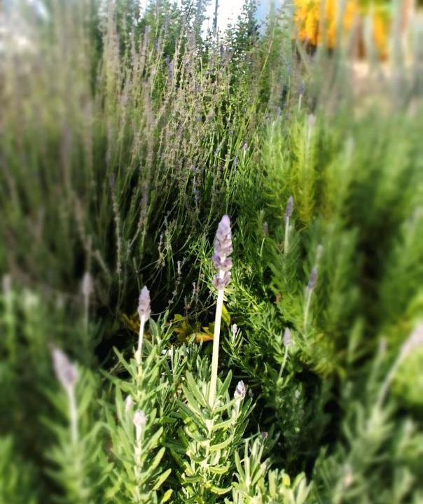 Photo of Outdoor in Prince Albert