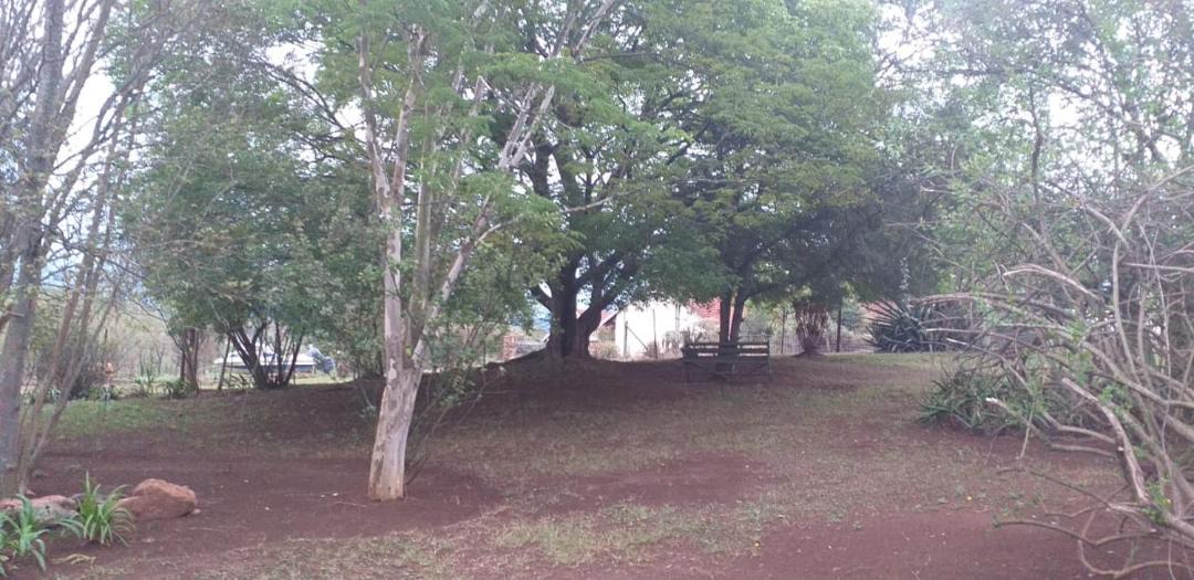 Photo of Others in Albert Falls