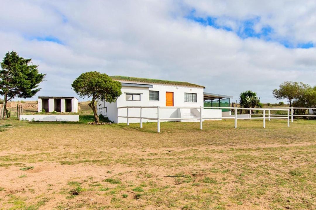 Photo of Others in Saldanha Bay