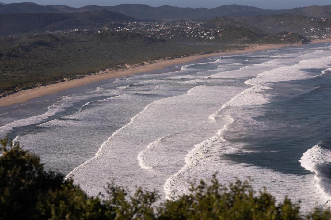 Photo of Others in Sedgefield