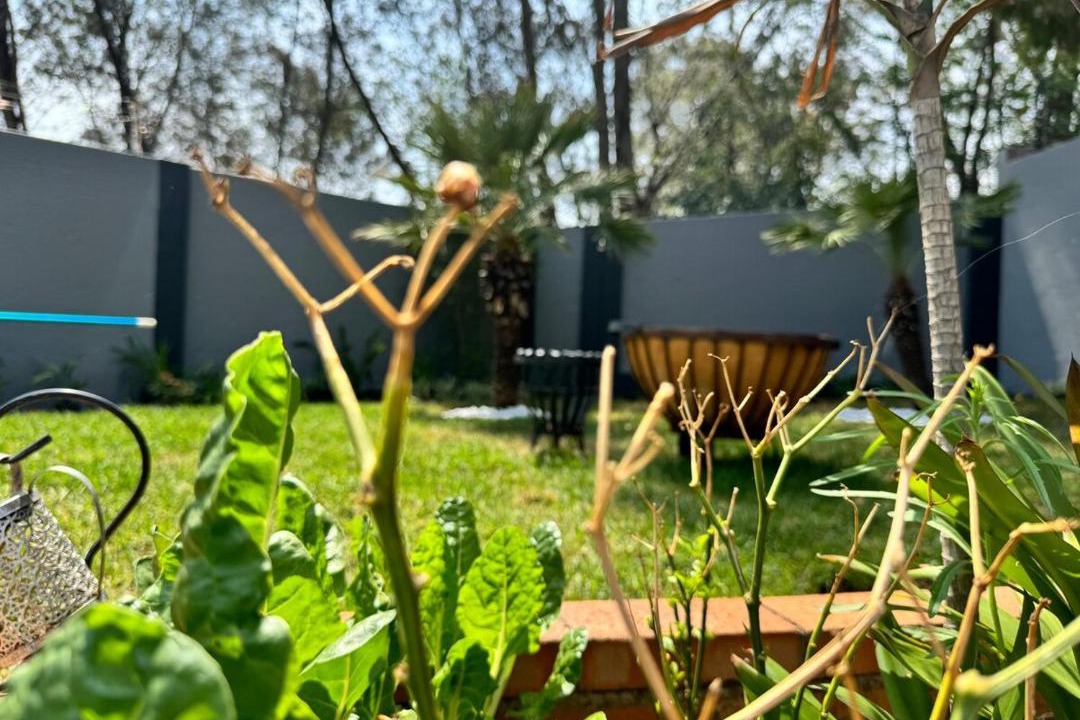 Photo of Outdoor in Woodmead