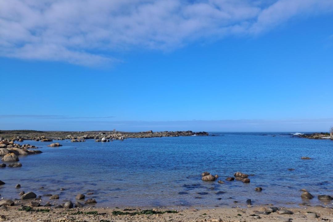 Photo of Others in Jacobs Bay