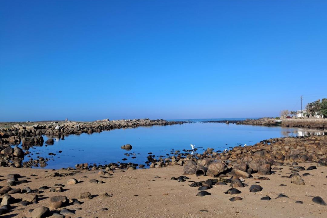 Photo of Others in Jacobs Bay