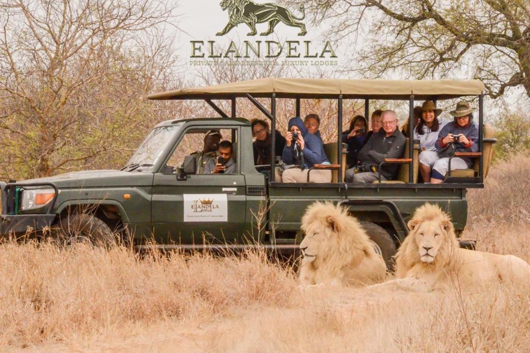 Photo of Others in Thorny Bush Game Reserve