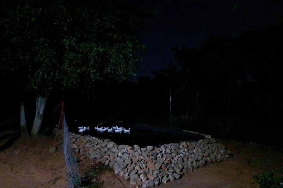 Photo of Others in Madibeng