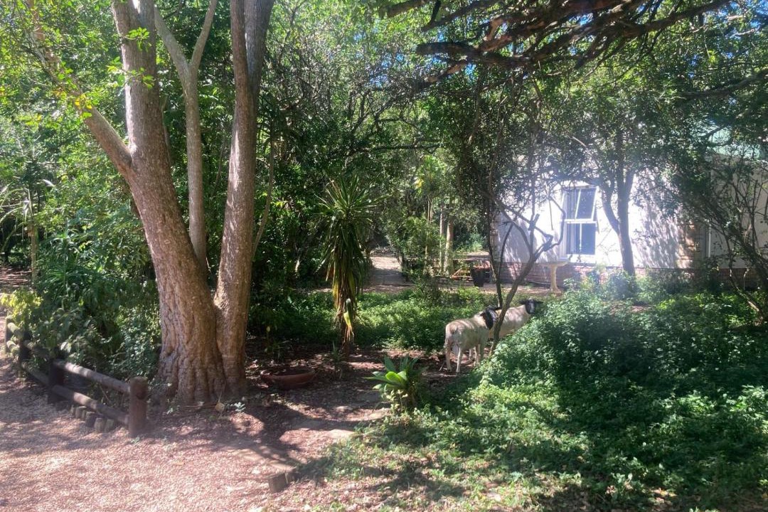 Photo of Others in Port Elizabeth