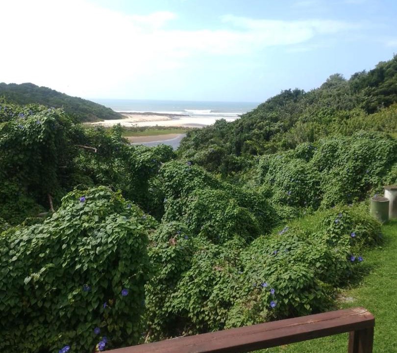 Photo of Others in Kidd's Beach