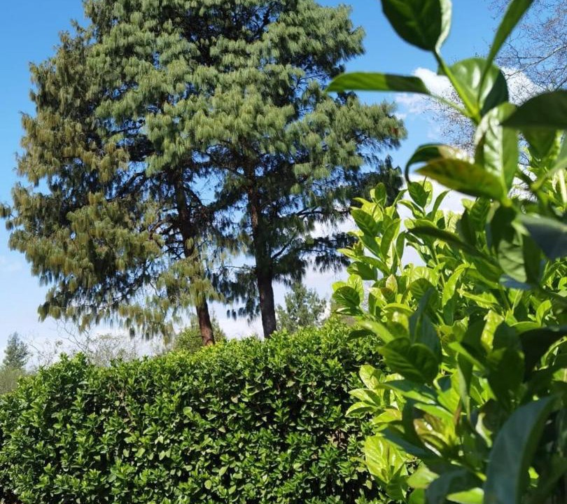 Photo of Outdoor in Nottingham Road