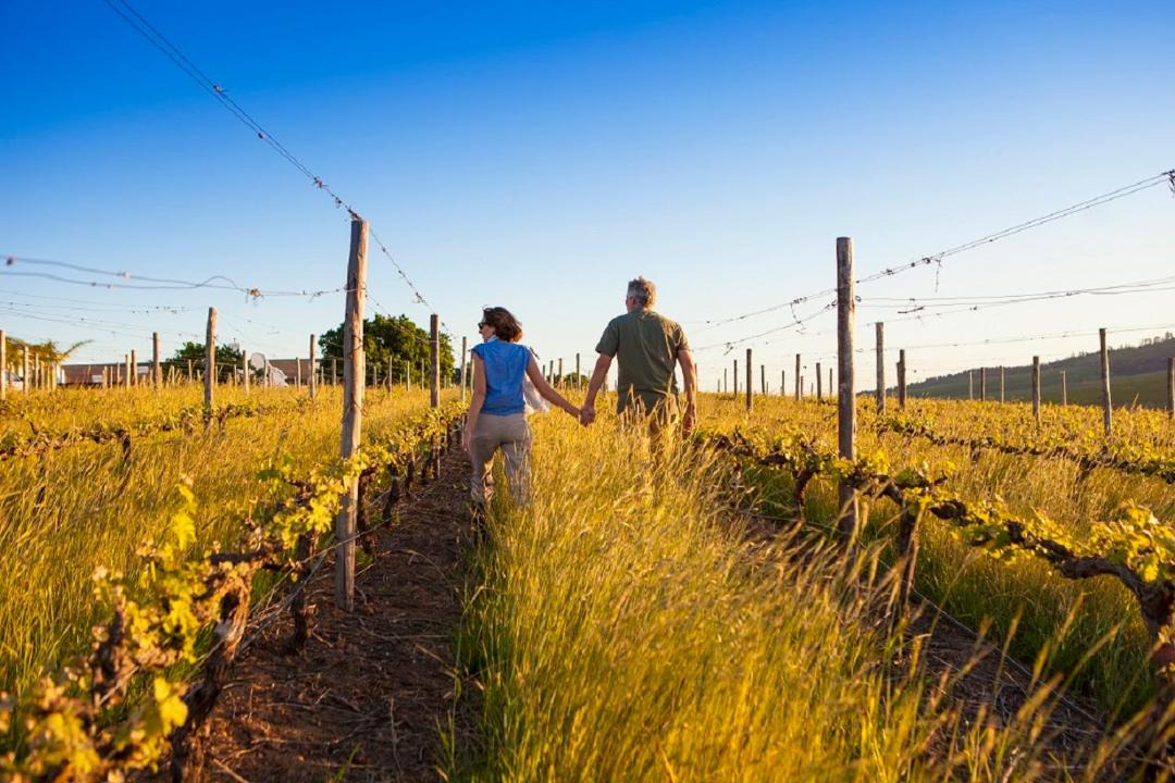 Photo of Others in Stellenbosch