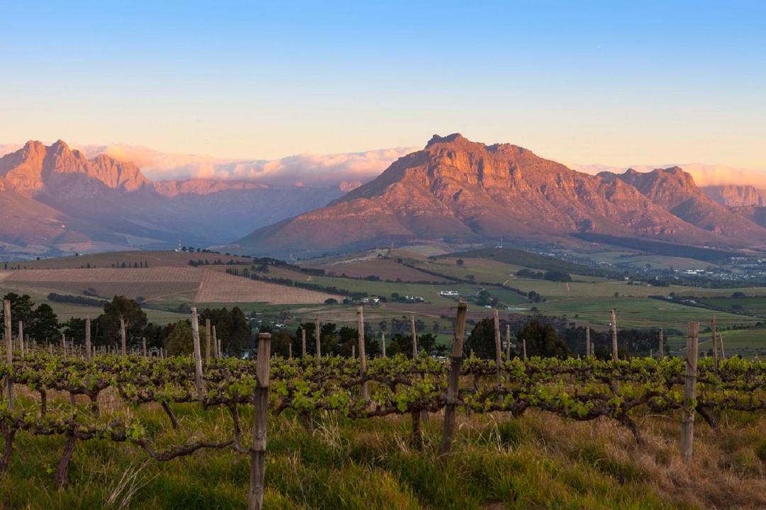 Photo of Others in Stellenbosch