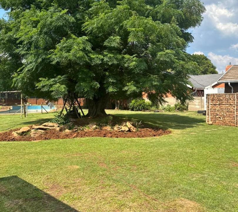 Photo of Outdoor in Springs