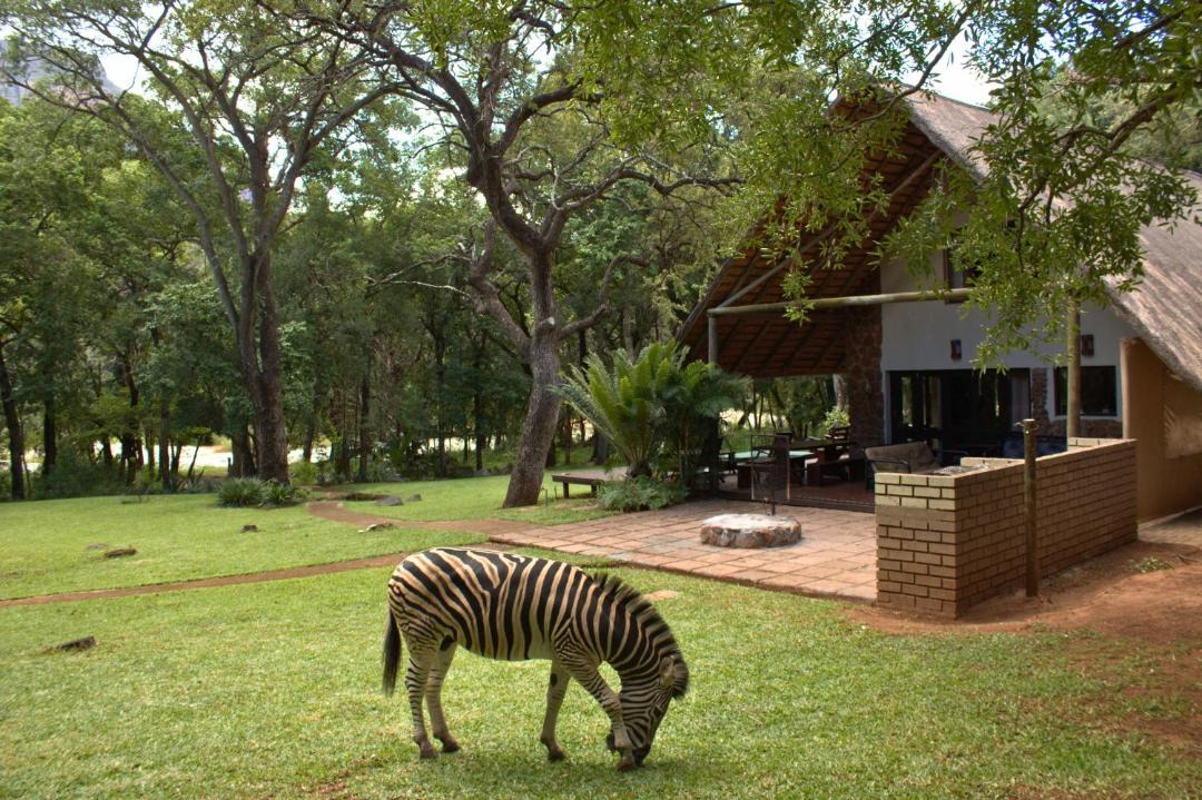 Photo of Others in Hoedspruit