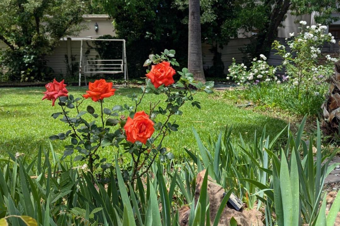 Photo of Outdoor in Kroonstad
