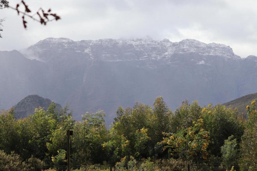 Photo of Others in Cape Winelands