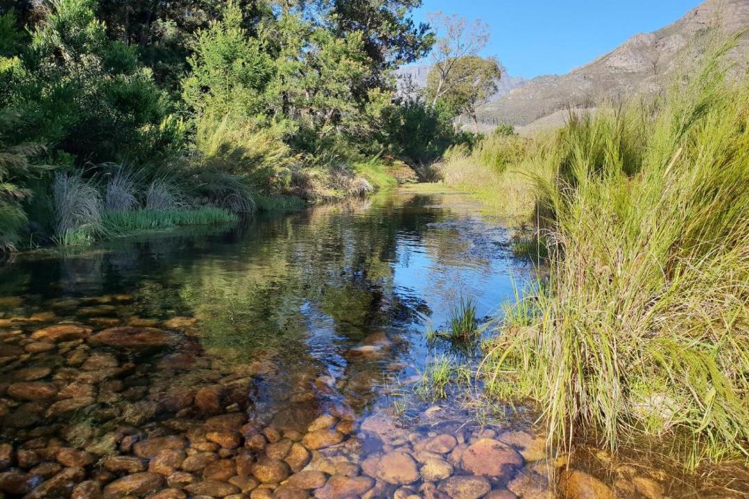 Photo of Others in Cape Winelands