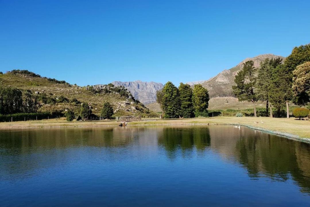 Photo of Others in Cape Winelands