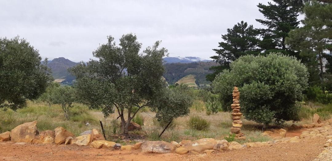 Photo of Others in Franschhoek