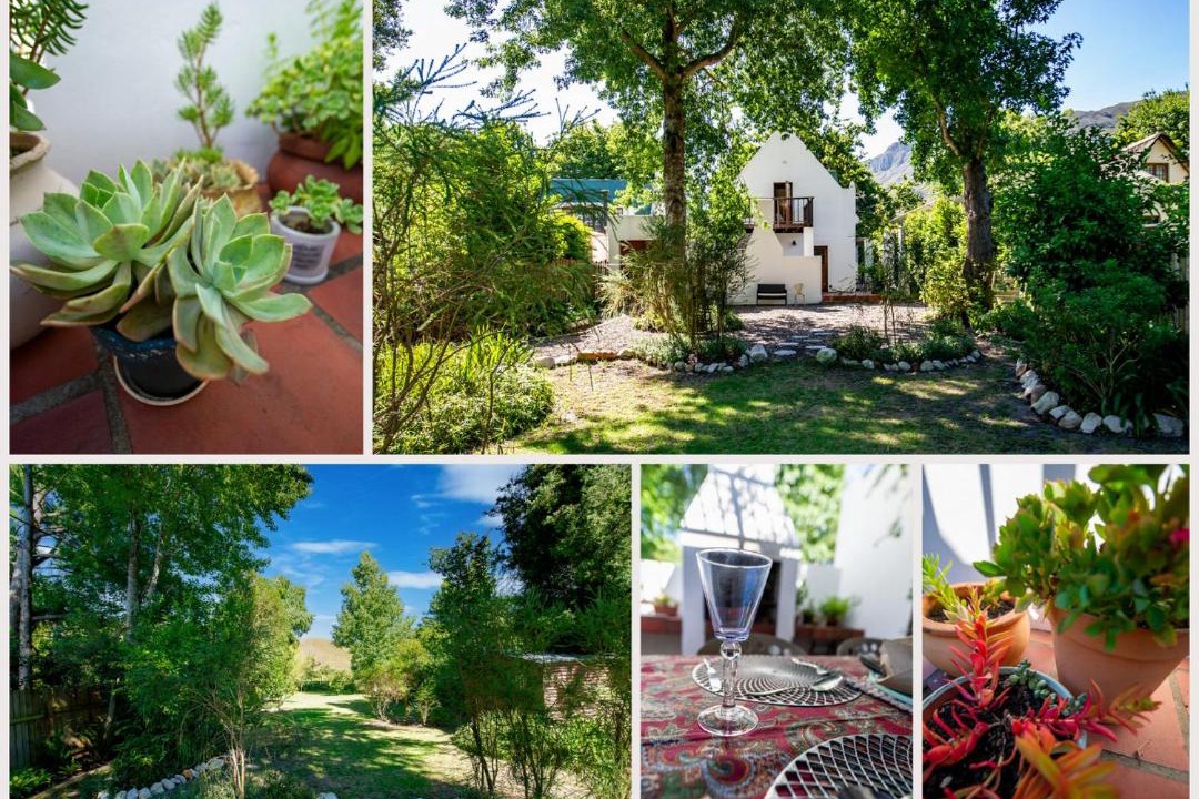 Photo of Others in Greyton