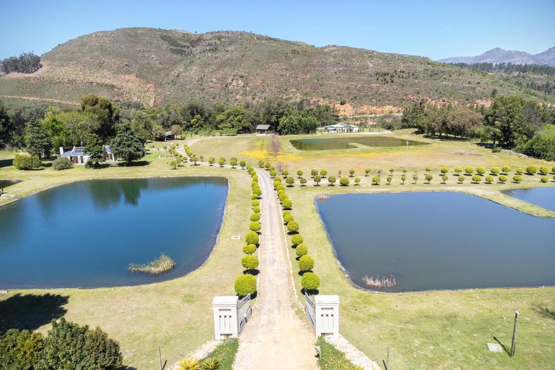 Photo of Others in Cape Winelands