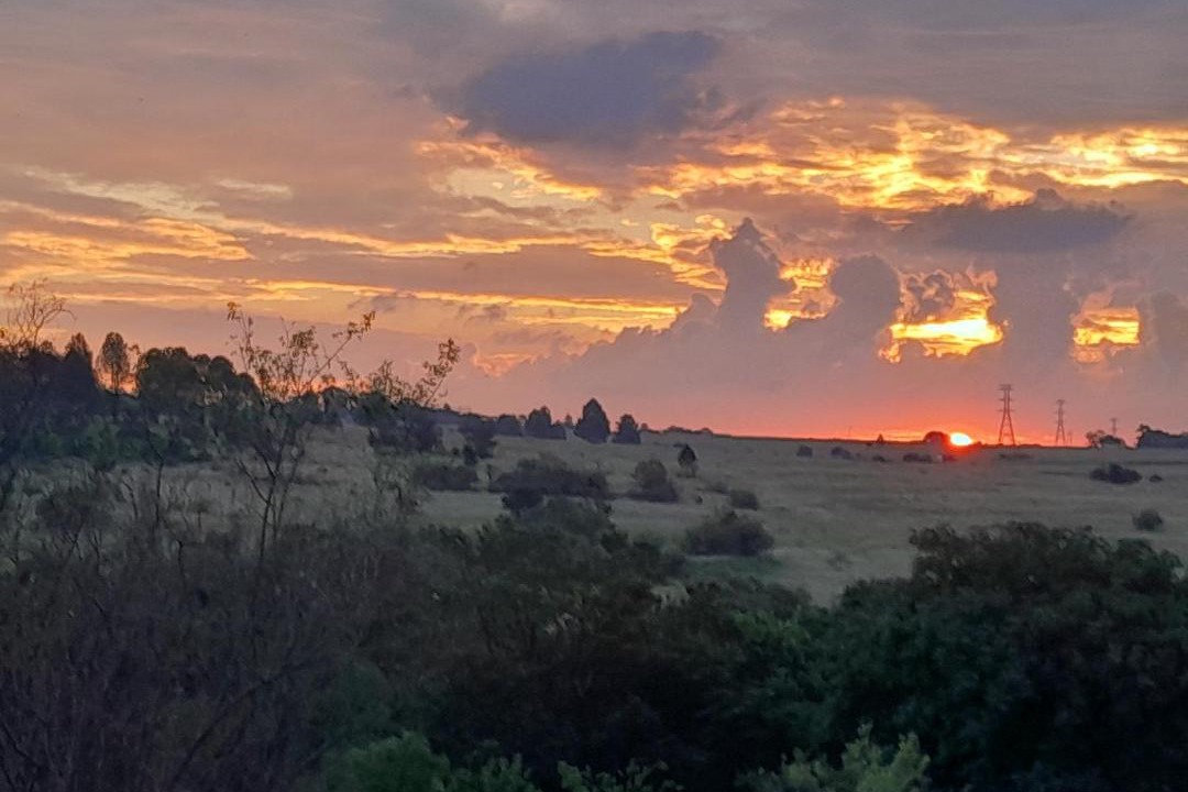 Photo of Others in Greater Johannesburg Metropolitan Area