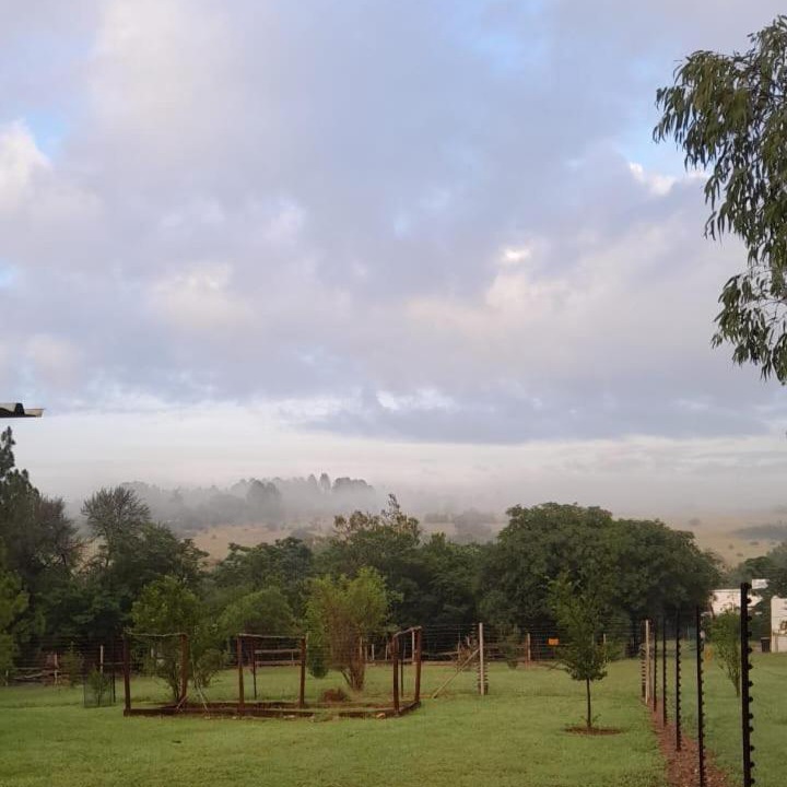 Photo of Others in Greater Johannesburg Metropolitan Area