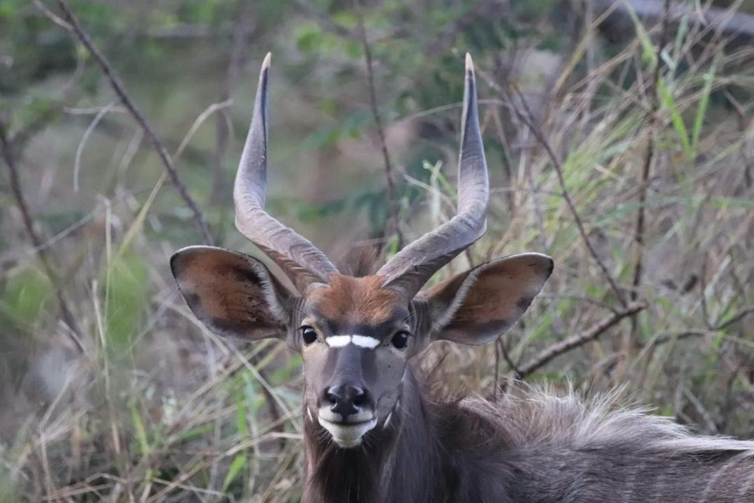 Photo of Others in Ulundi