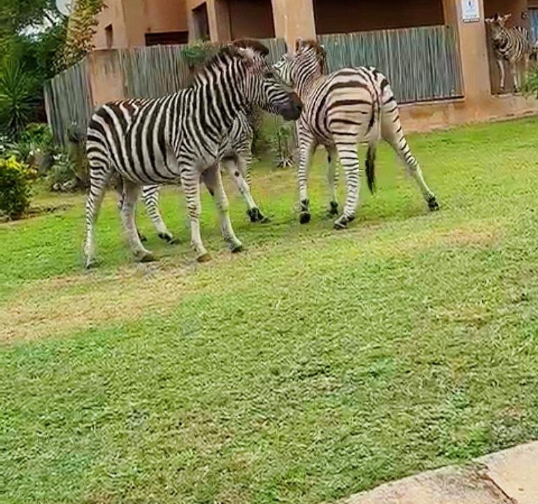 Photo of Others in Nelspruit