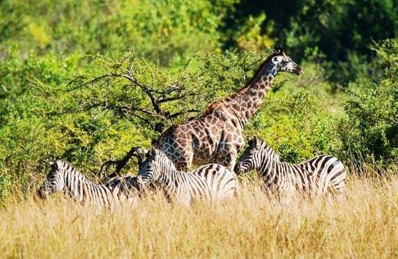 Photo of Others in Nelspruit